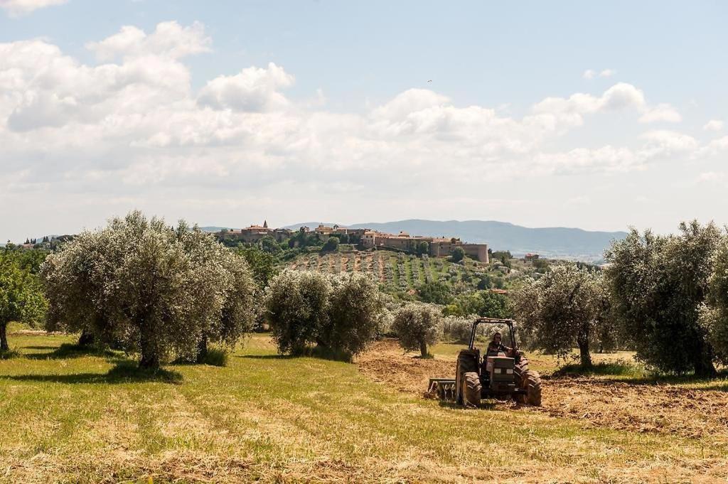 Tenuta Campospillo Magliano in Toscana Luaran gambar
