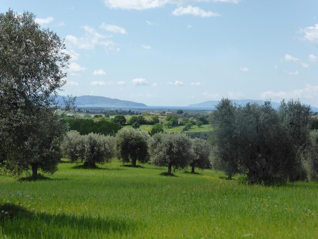 Tenuta Campospillo Magliano in Toscana Luaran gambar