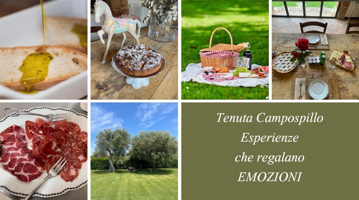 Tenuta Campospillo Magliano in Toscana Luaran gambar