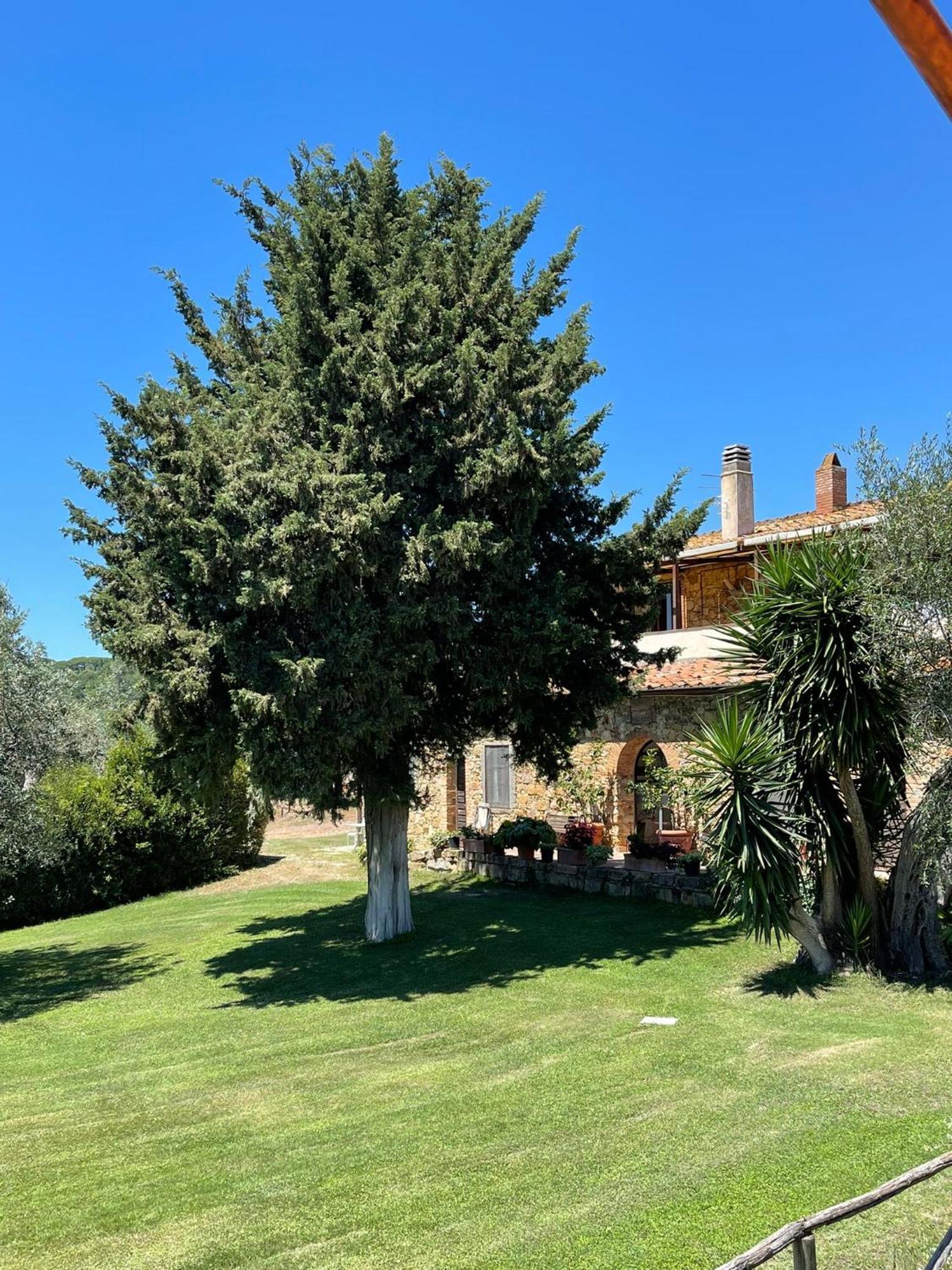 Tenuta Campospillo Magliano in Toscana Luaran gambar