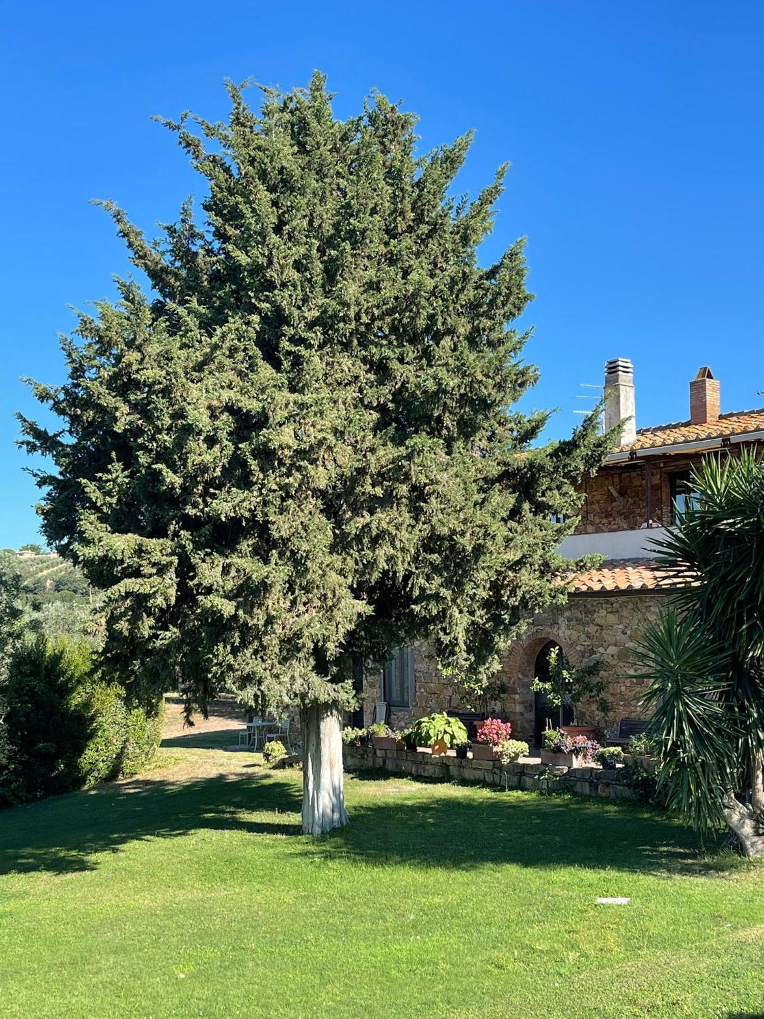 Tenuta Campospillo Magliano in Toscana Luaran gambar