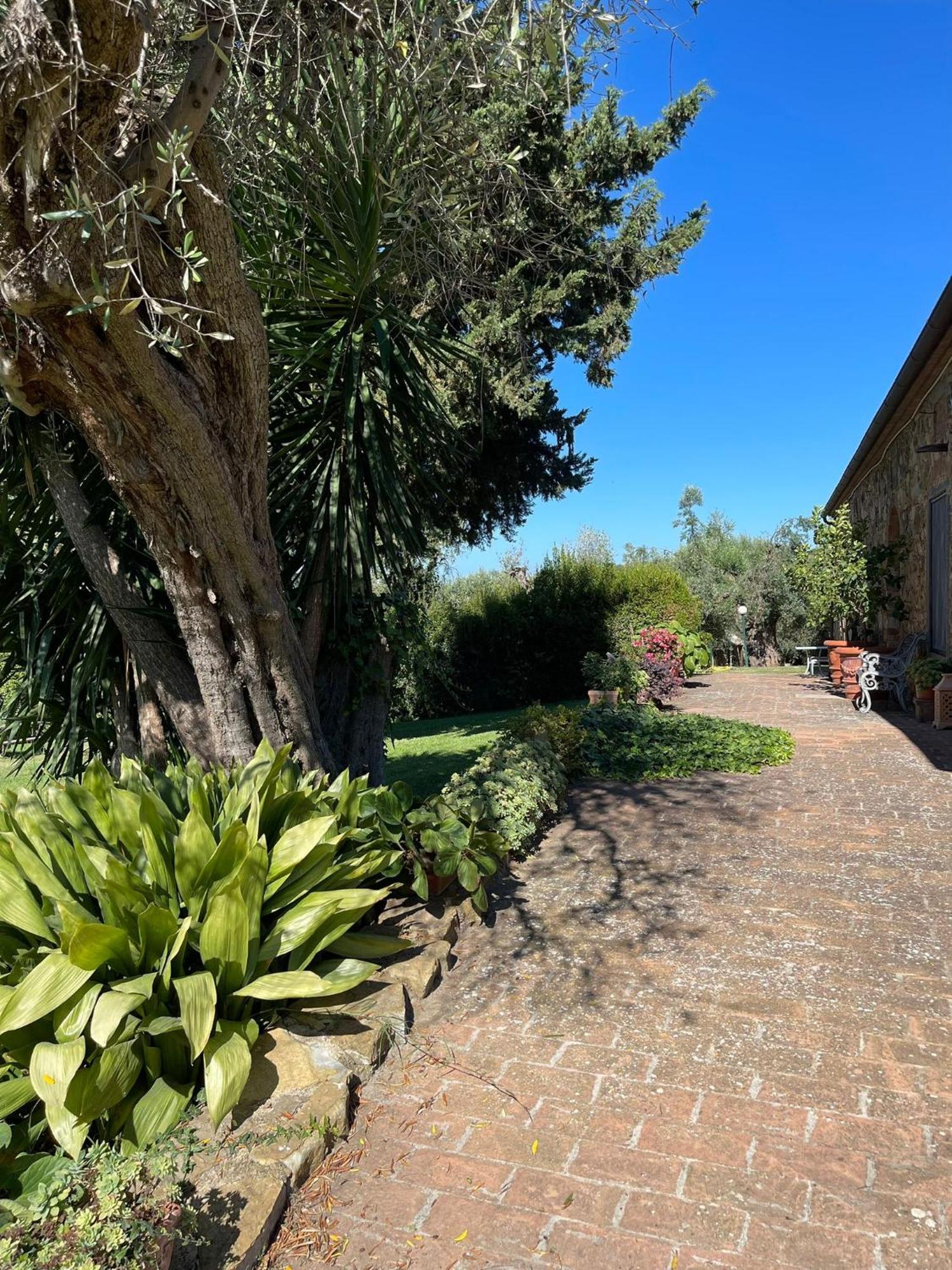 Tenuta Campospillo Magliano in Toscana Luaran gambar